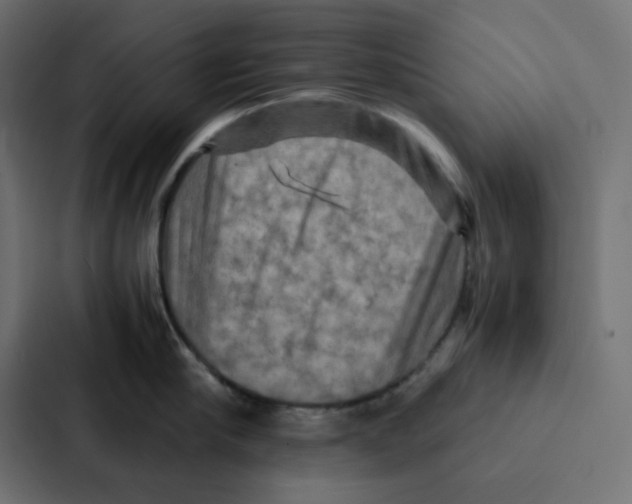 X0000087060910200705161009