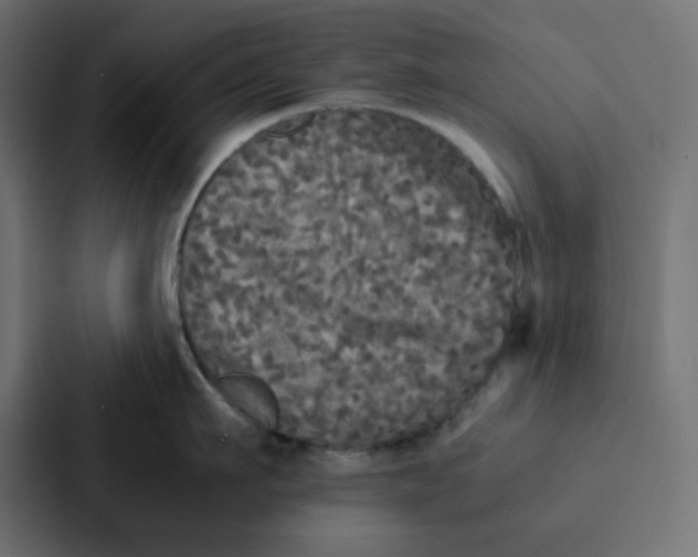 X0000087060911200705161009