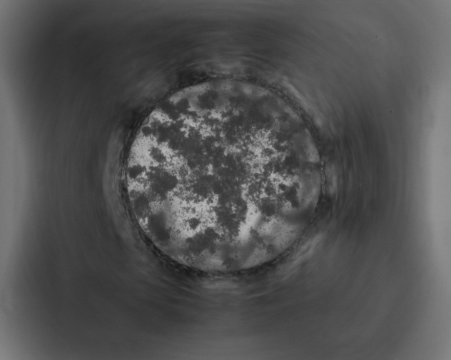 X0000087060913200705161009