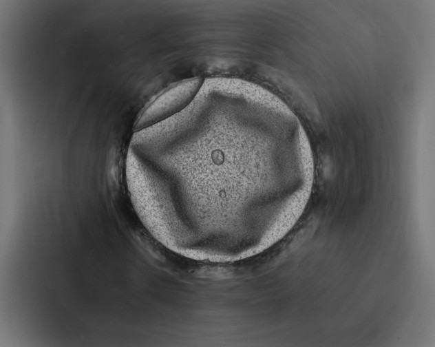 X0000087060914200705161009