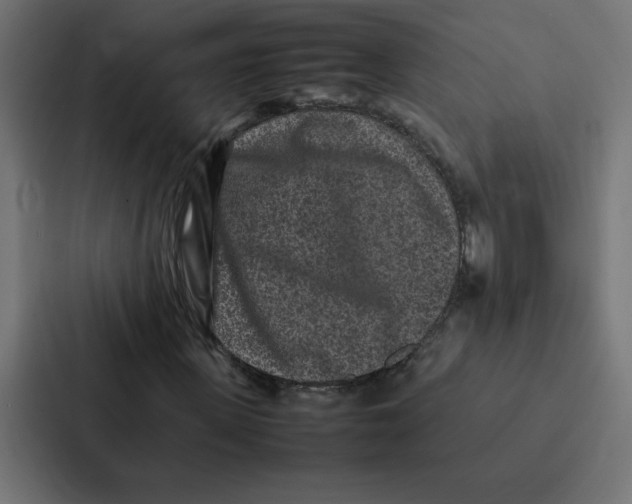 X0000087060915200705161009