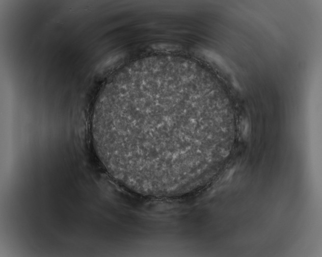 X0000087060917200705161009