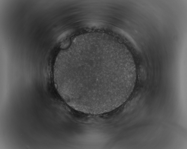 X0000087060918200705161009