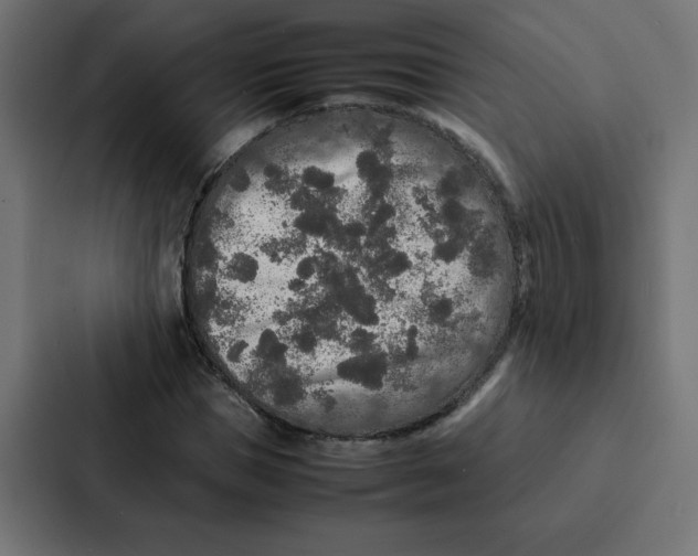 X0000087060921200705161009