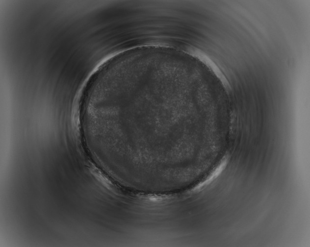 X0000087060923200705161009