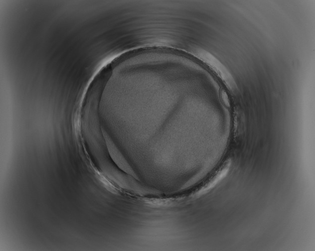 X0000087060924200705161009