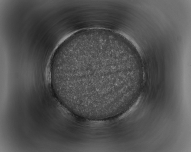 X0000087060925200705161009