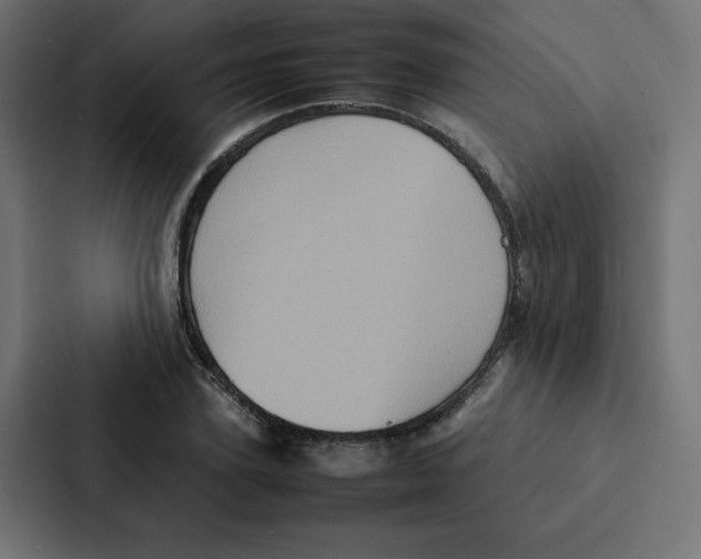 X0000087060931200705161009