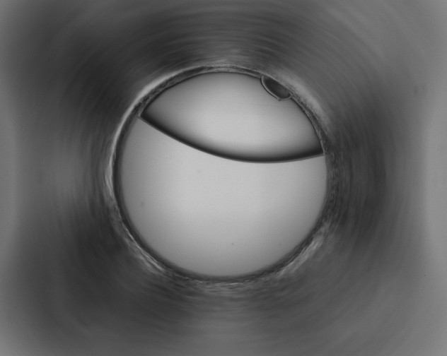 X0000087060932200705161009