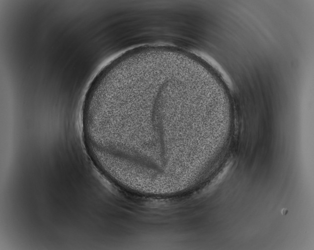 X0000087060935200705161009