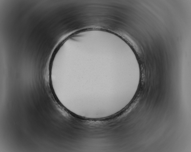 X0000087060940200705161009