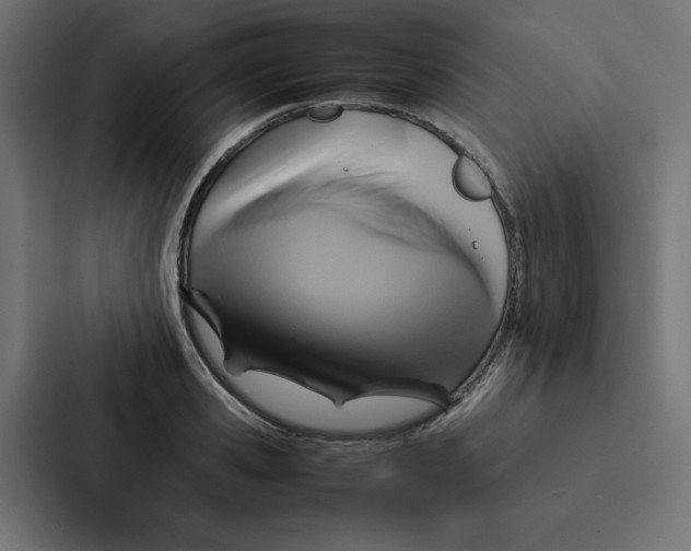 X0000087060941200705161009