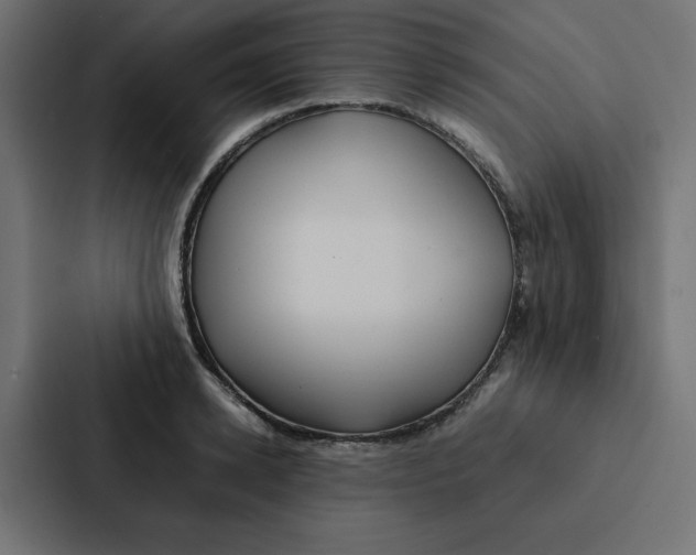 X0000087060942200705161009