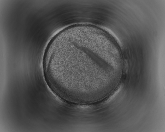 X0000087060943200705161009