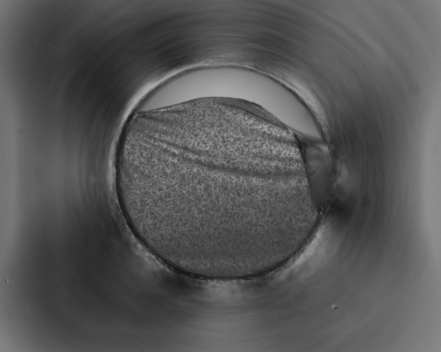 X0000087060944200705161009