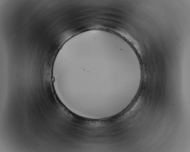 X0000087060945200705161009