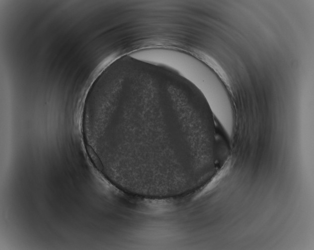 X0000087060946200705161009