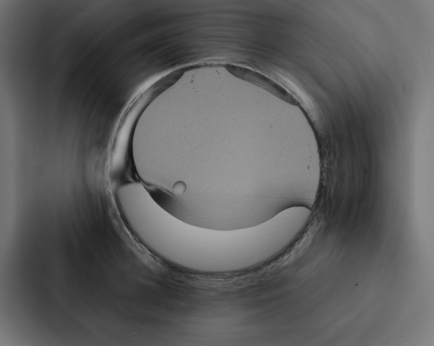 X0000087060948200705161009