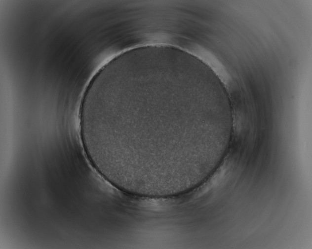 X0000087060950200705161009