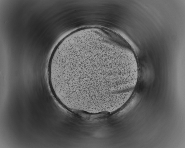 X0000087060951200705161009