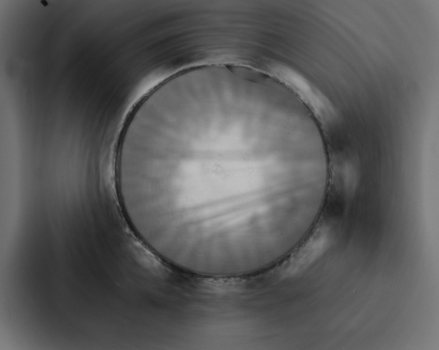 X0000087060952200705161009