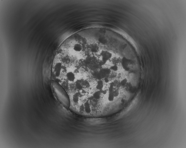 X0000087060953200705161009