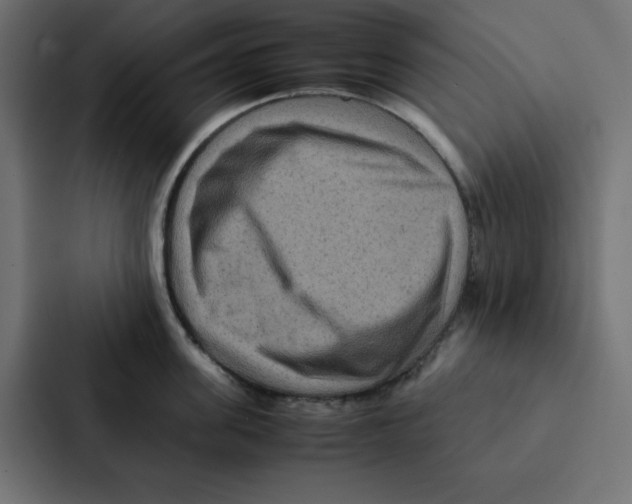 X0000087060955200705161009