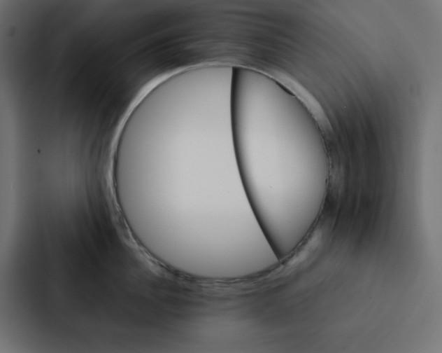 X0000087060956200705161009