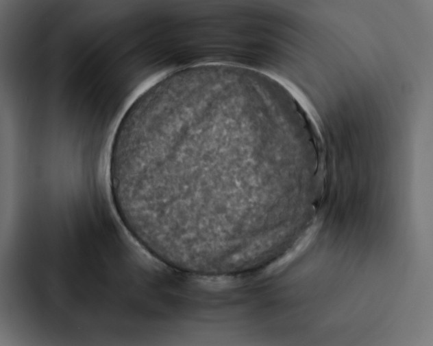 X0000087060957200705161009