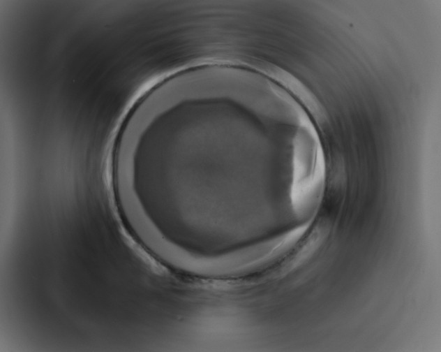 X0000087060958200705161009