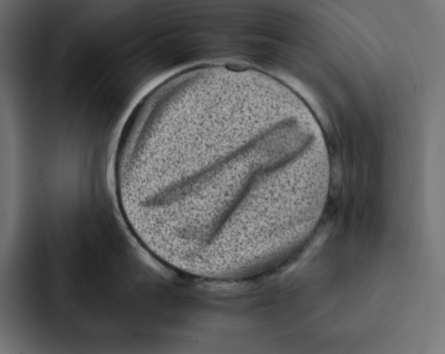 X0000087060959200705161009