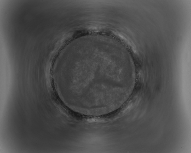 X0000087060961200705161009