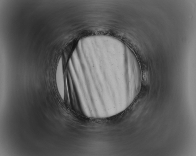 X0000087060963200705161009