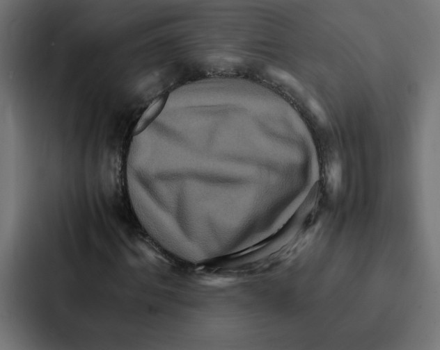 X0000087060964200705161009