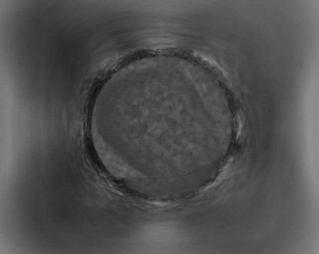 X0000087060965200705161009