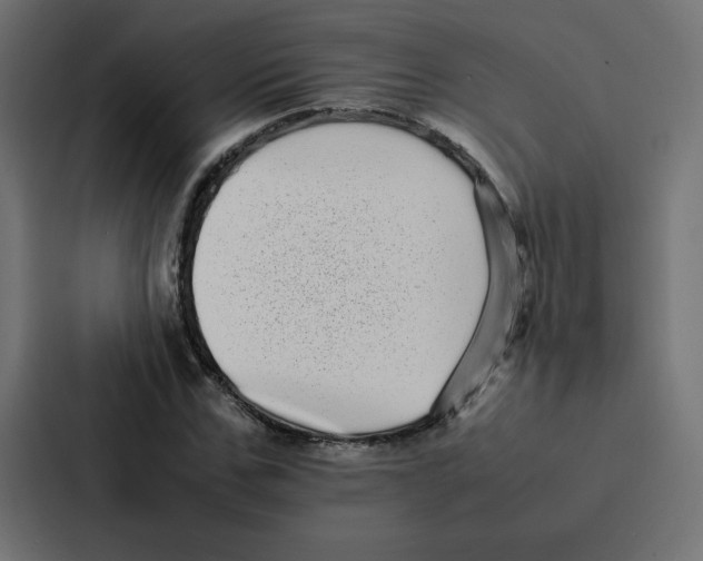 X0000087060971200705161009