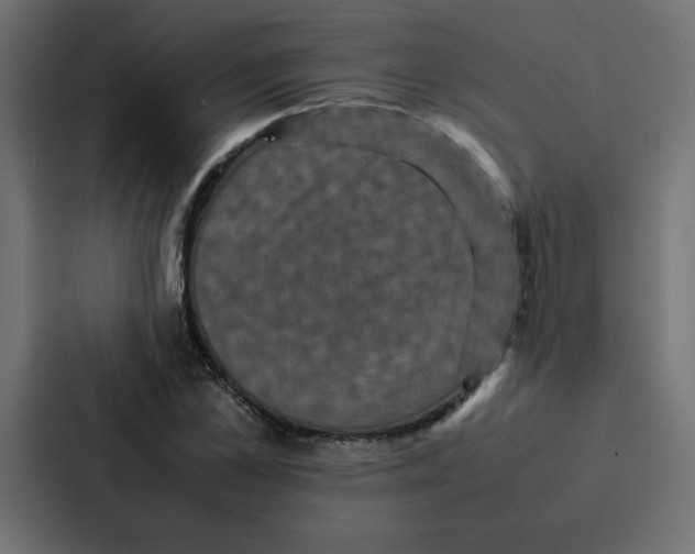 X0000087060973200705161009