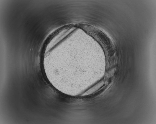 X0000087060975200705161009