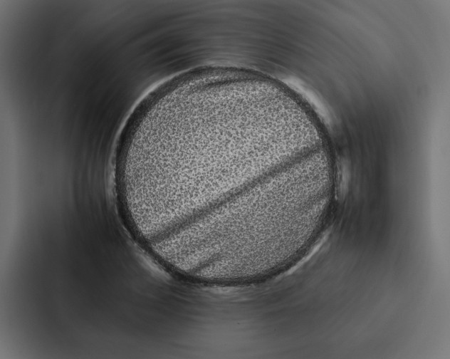 X0000087060976200705161009