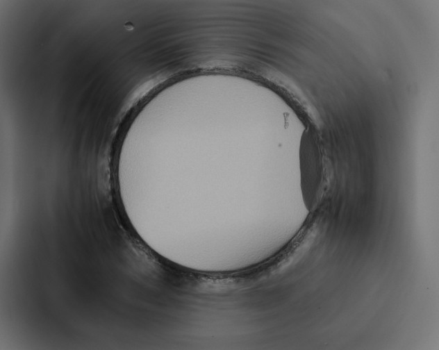 X0000087060978200705161008