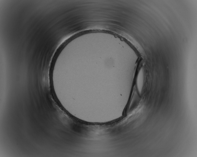 X0000087060980200705161008