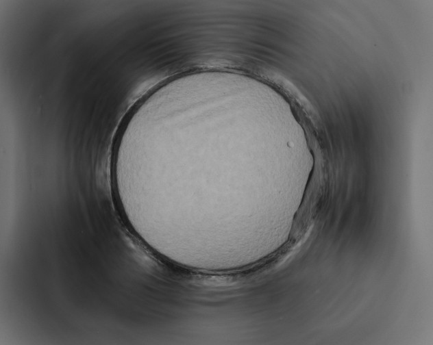 X0000087060986200705161008