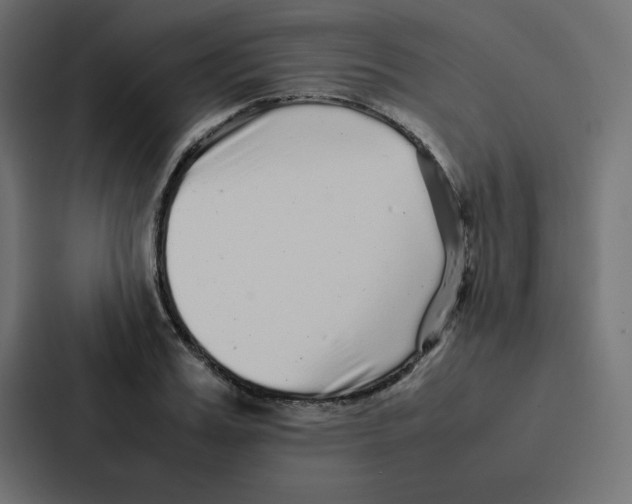 X0000087060987200705161008