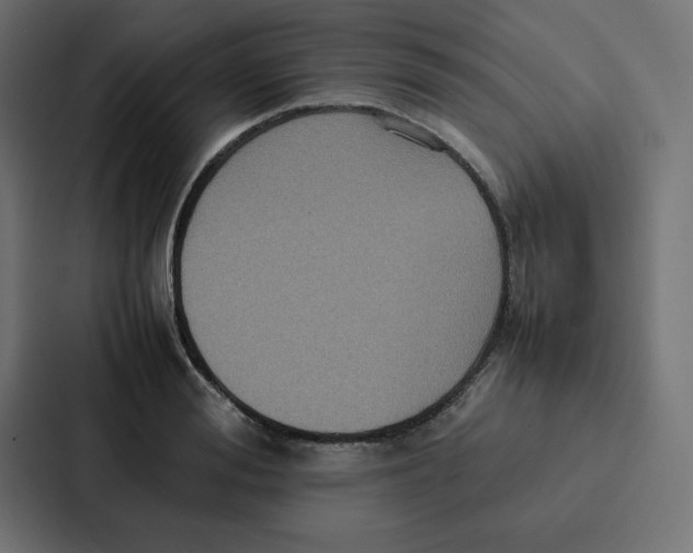 X0000087060988200705161008