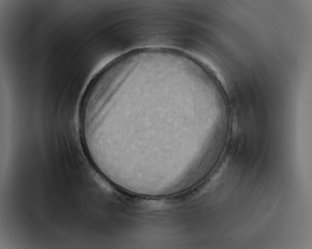 X0000087060990200705161008