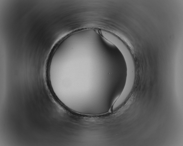 X0000087060991200705161008