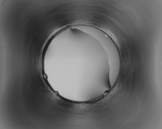 X0000087060992200705161008