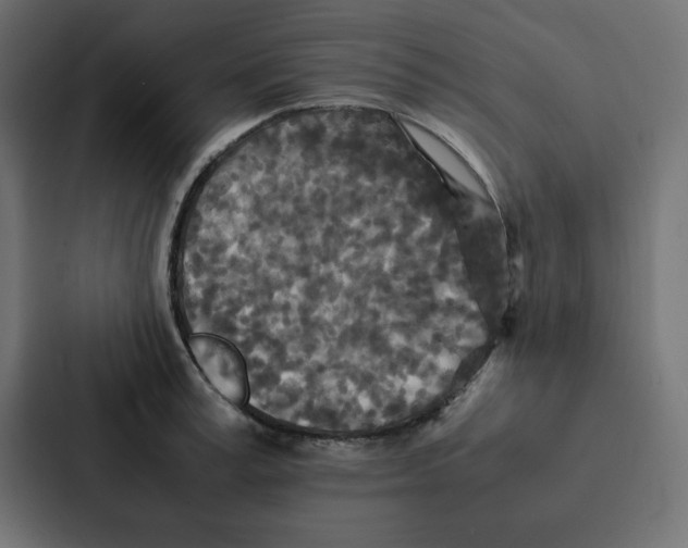 X0000087060995200705161008