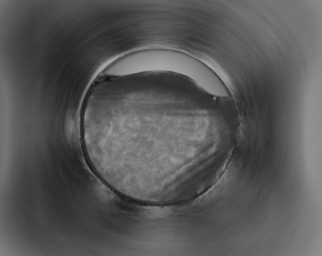 X0000087060996200705161008