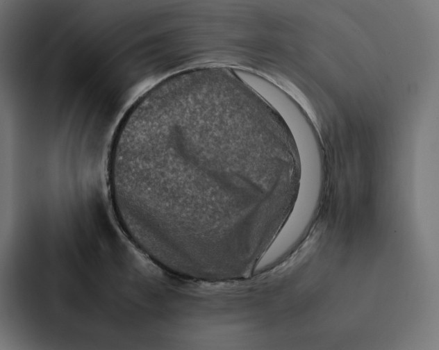 X0000087060997200705161008